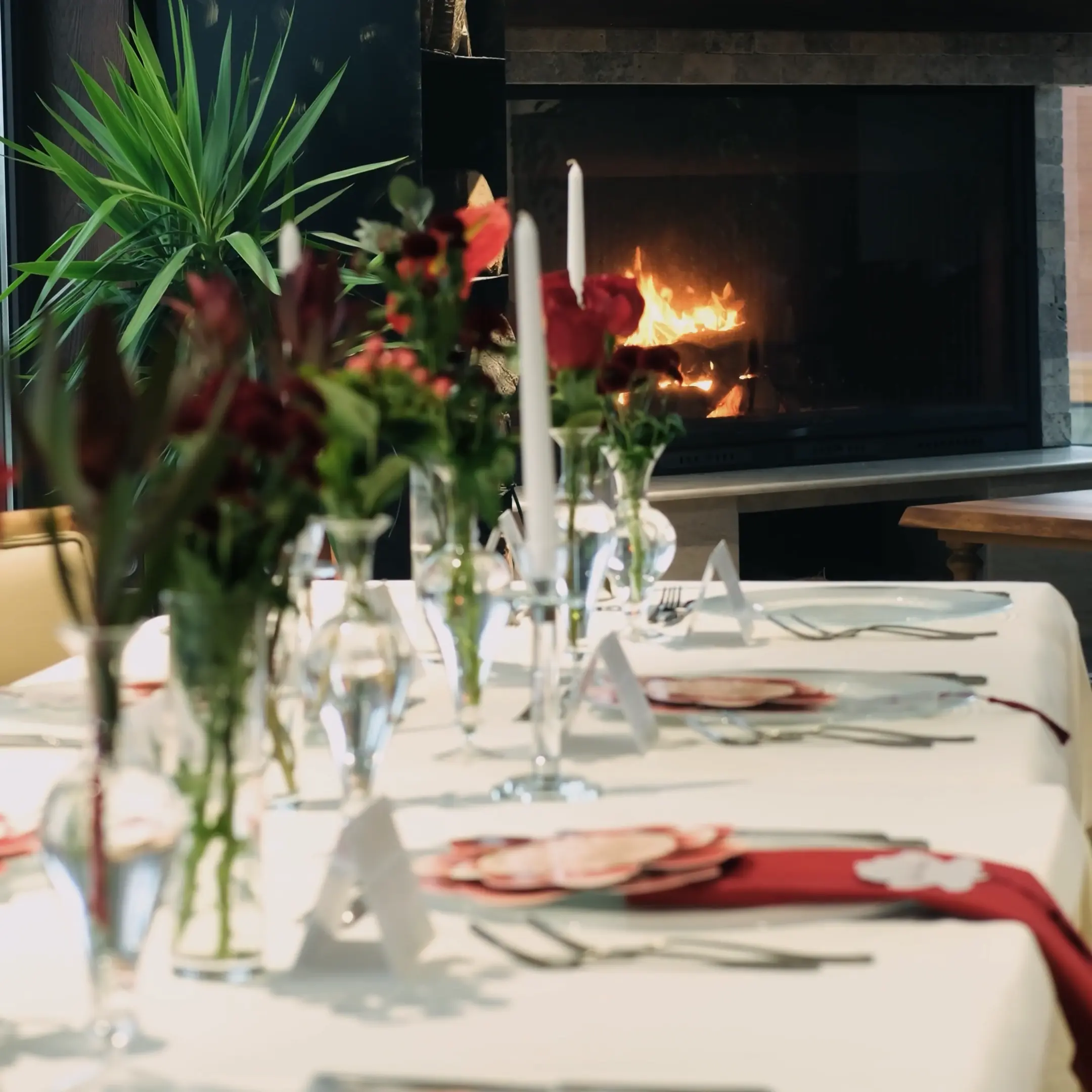 Kır Düğünü Alanı